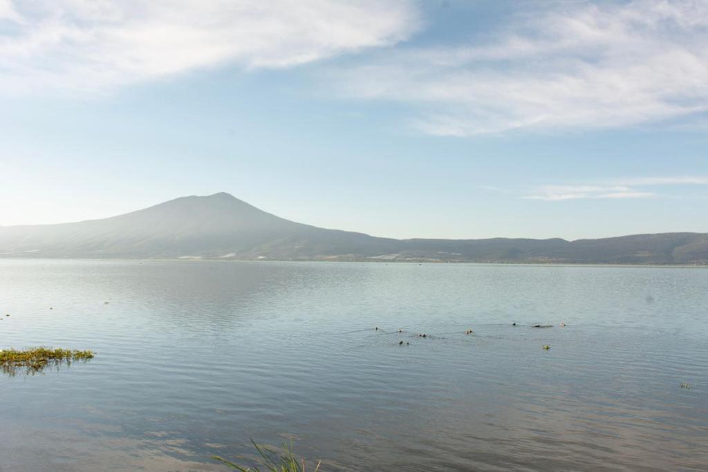 Casa Palomas Bed And Breakfast Сан-Хуан-Косала Екстер'єр фото